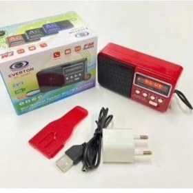 Resim R-303 Çok Renkli USB ve Micro Kartlı Taşınabilir El Radyosu 