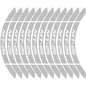 Resim Yamaha MT-25 İç Dış Jant Sticker 