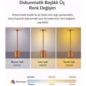 Resim Dekoratif Masa Üstü Şarjlı Dokunmatik Masa Lambası Gri 3 Işık Renkli Dimerli Metal Gri 