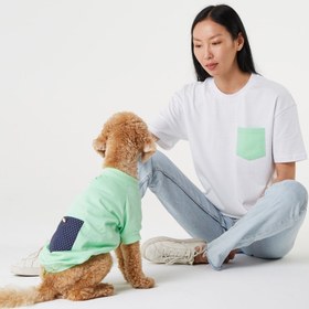 Resim Mint Yeşili Köpek ve İnsan Tişört Kombini - XS / L 
