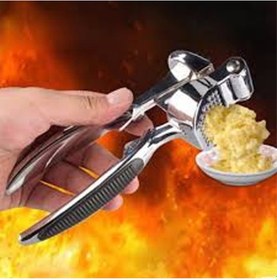 Resim Lüks Metal Sarımsak Zencefil Ezici 
