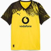 Resim BORUSSIA Dortmund 25/26 Erkek İç Saha Forması 