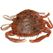 Resim Berkley Gulp Peeler Crab LRF Silikon Yengeç New Penny-5 CM 