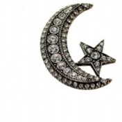 Resim Elmas Montür Swarovski Taşlı Ayyıldız Broş Hediye Paketinde 