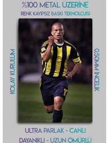 Resim Metal Tablo, Sporcu, Futbol Hediyelik Tablo - Alex De Souza, Fener F.b. 