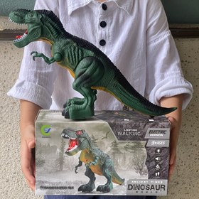Resim Gerçekçi Yürüyen T-Rex Dinozor Oyuncak Ses Efektleriyle - Rastgele Renk, Dayanıklı Plastik 