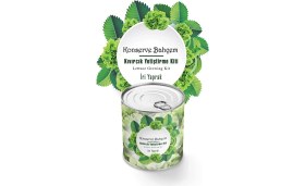 Resim Kaia Life Konserve Bahçem Evde Konservede Iri Yapraklı Kıvırcık Yetiştirme Kiti 