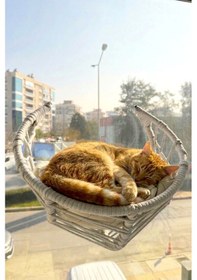 Resim Reyo Lüxperi Hilal Kedi Cam Yatağı & Vantuzlu Cam Yatağı & Kedi Pencere Yatağı Açık Gri 