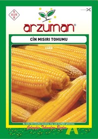 Resim Cin Mısır Tohumu 25 GR Patlatmalık Popcorn Mısır 