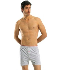 Resim 6 Adet Anıt Erkek Büyük Beden Pamuklu Penye Boxer 1278 Gri 