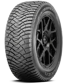 Resim Falken WinterPeak F-ICE1 215/65 R16 102T XL Kış Lastiği - 2024 