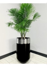 Resim Elegant Dekoratif Krom Darbuka Parlak Siyah Saksı 70cm 