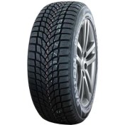Resim Dayton 185/65 R15 88T Dw510e Kış Lastiği 2024 