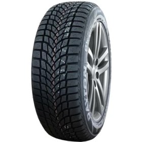 Resim Dayton 185/65 R15 88T Dw510e Kış Lastiği 2024 