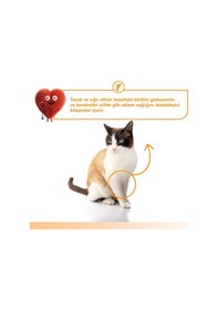 Resim Kedi Ödül Maması Sığır & Tavuk Kedi Ödül Kreması 5x14gr 