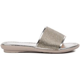 Resim Ayakmod 246012 Gümüş Taşlı Kadın Terlik 001 