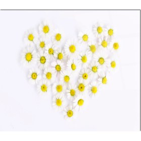 Resim Olinpa Cam Ocak Arkası Koruyucu | Kalp Papatya Desenli 