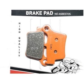 Resim Disk Balata Arka Kuba Black Cat (Turuncu) Mtrx 