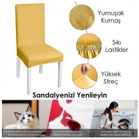 Resim Balpeteği Desen Likra Kumaşlı Tüylenmez Yikanabilir Sandalye Örtüsü Sandalye Kılıfı Yeni Model Tekli Hardal 