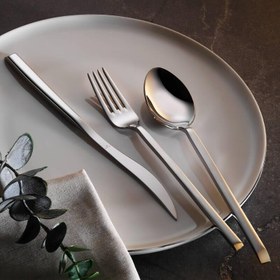 Resim Aryıldız Vento Prestige 89 Parça Çatal Kaşık Bıçak Takımı 