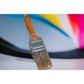 Resim ÇEÇEN HOME (2 Adet) Plastik Saplı Kestirme Fırçası No:1 ½ (19cm) 