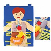 Resim AND-5120 CIRTLI VÜCUDUMUZ PANO 