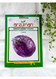 Resim Kırmızı Lahana Tohumu 1 Paket Kışlık Tohum Sebze Tohumu N11909 