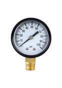 Resim 0-100psı 1/4'' Kuyu Pompası Havuz Spa Filtresi Su Basınç Ölçer Pirinç Soket Bağlantısı 