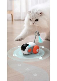 Resim River World Kediler İçin Robot Uzaktan Kumandalı Oyuncak 