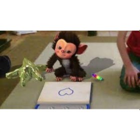 Resim Ps3 Eyepet Move Edition Oyun 