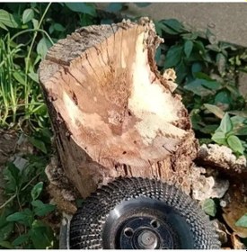 Resim Ahşap Eğe Diski - 9055139482303do Çok Renkli 