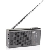 Resim Roxy RXY-170FM Mini Radyo 