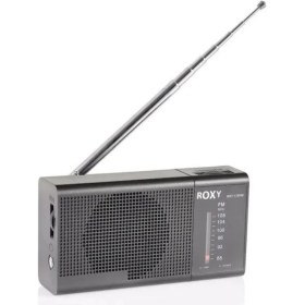 Resim Roxy RXY-170FM Mini Radyo 