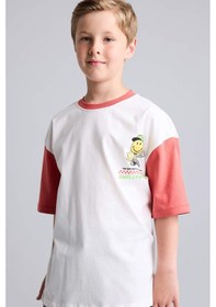 Resim Defacto Smiley World Oversıze Bisiklet Yaka Sırt Baskılı Kısa Kollu Ecru Tişört Erkek Çocuk H8314a826hser105 Ekru-er105 