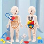 Resim [Bilim Eğitimi] İnsan Vücut Anatomisi Modeli - Renkli İnsan Organları ve İskeletlerle Eğitici Bilim Oyuncakları, Gençlerin Öğrenmesi İçin İdeal, Gençler Günü İçin Mükemmel Hediye, Gençler Günü İçin Eğitici Oyuncaklar|Gerçekçi Model Düzeni|Detaylı Anatomik, Gençler Günü İçin Hediye Oyuncak 