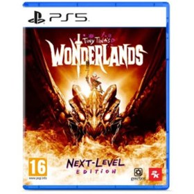 Resim TAKE 2 Tiny Tina's Wonderlands - Next Level Edition Oyun (playstation 5) 