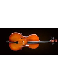 Resim Valencia Ce400f12 Cello Kılıflı yay reçine. 1/2 Scale. French St 