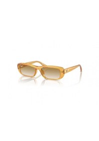 Resim Ray-ban Rb4436d 668213 55 Kadın Güneş Gözlüğü 