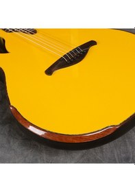 Resim Eastun Soloıst Oveşın Kasa Üst Segment Akustik Gitar-Kılıflı 