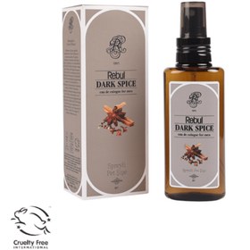 Resim Rebul 125ML Dark Spice Spreyli Kolonya Pet (Kdo) 