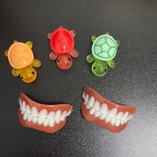Resim 5 Parça Set: 2 Üst Diş + 2 Alt Diş + Kutu, Çift Sıra Simüle Edilmiş Protezli Gelişmiş Diş Eğitimi Kiti, Plastik Üst ve Alt Diş Modelleri, Kokusuz Diş Öğrenme Aksesuarları C848 