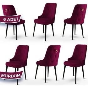 Resim Canisa Concept Enoa Serisi , 6 Adet Sandalye, Siyah Gürgen Ayak 