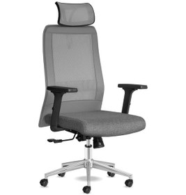 Resim Kolto Başlıklı Gri Çalışma Koltuğu 