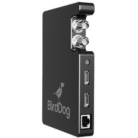 Resim BirdDog Studio NDI SDI/HDMI to NDI Converter 