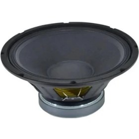 Resim Gold Audio Hp-315 15" 38cm Hoparlör 