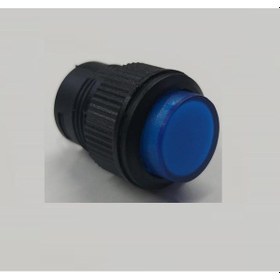 Resim Switch - "180B" - Push Buton - 16 Mm - Yaylı - Mavi Işıklı 
