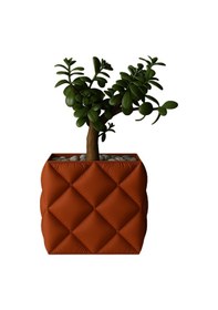 Resim Puffo Saksı Modern Ve Dekoratif Saksı 