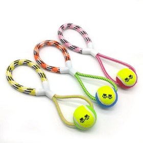 Resim İpli Köpek Oyun Topu 