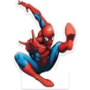 Resim Ayaklı Pano Spider 33x24 Cm Uçan Örümcek Adam Doğum Günü Masa Dekoru Çocuk Odası Süsü +3 