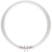 Resim Philips Master Tl5 60w/840 4000kelvin Günışığı ( 40w-55w Yerine Olmaz Iç Çap:33,5cm Dış Çap:37 Cm ) 